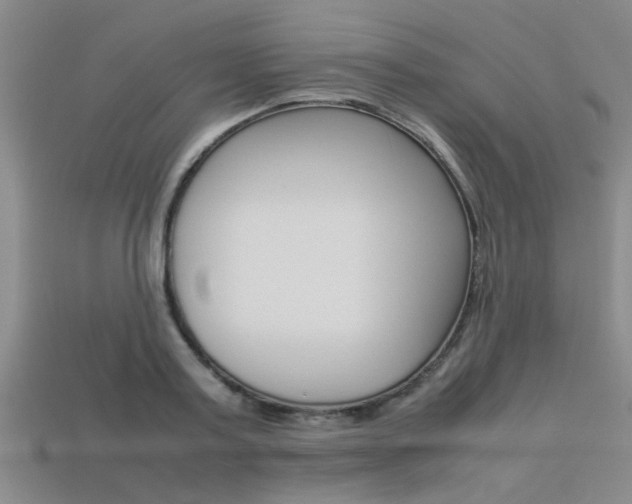 X0000113560795200909181020