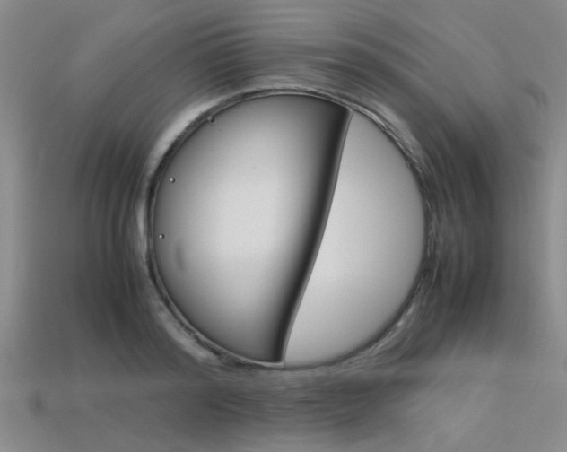 X0000113560796200909181020