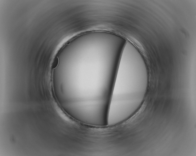 X0000113560800200909181019