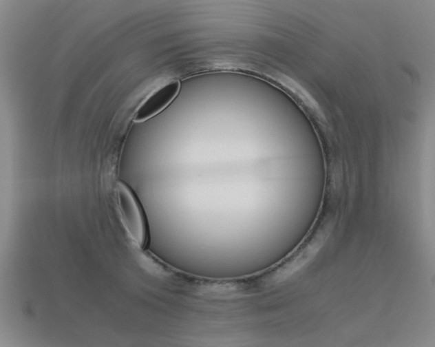 X0000113560801200909181019