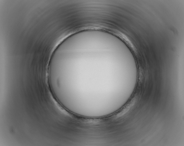 X0000113560802200909181019