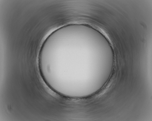 X0000113560803200909181019