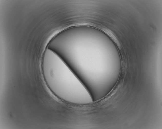 X0000113560805200909181019