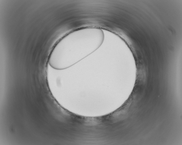 X0000113560807200909181019