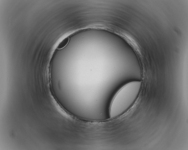 X0000113560808200909181019