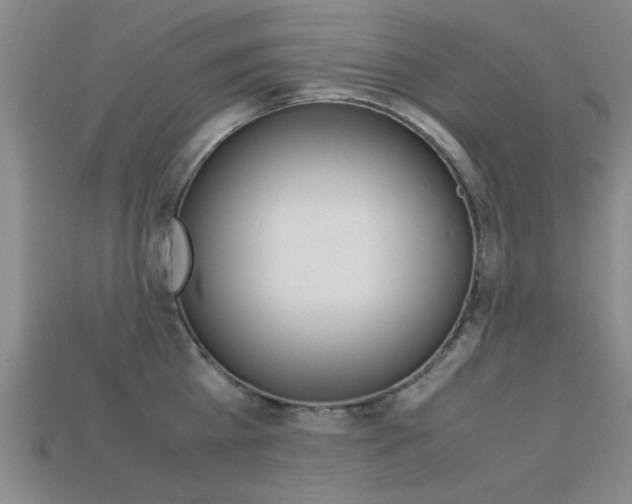 X0000113560809200909181019