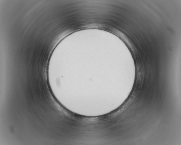 X0000113560810200909181019