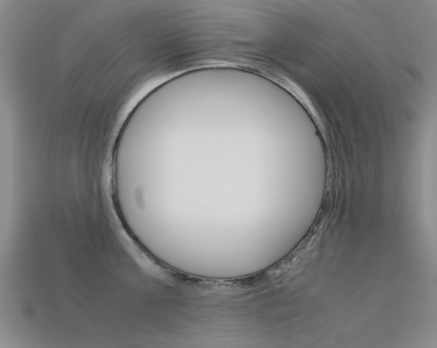 X0000113560811200909181019