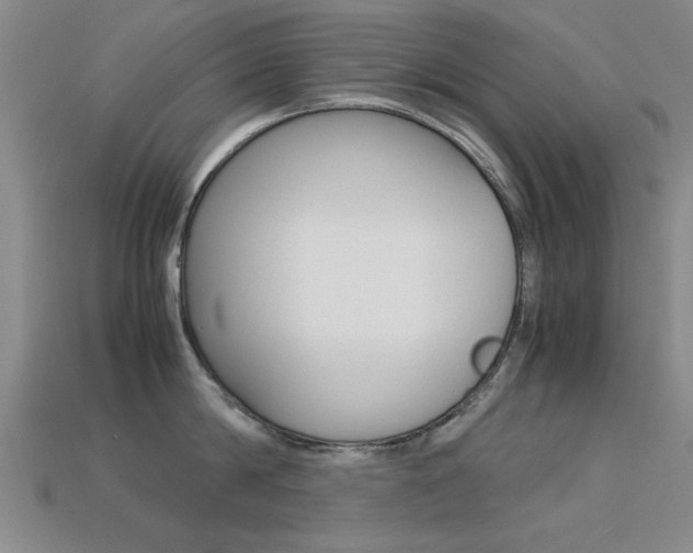 X0000113560814200909181019