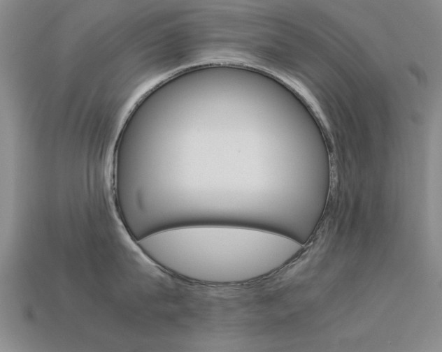 X0000113560815200909181019