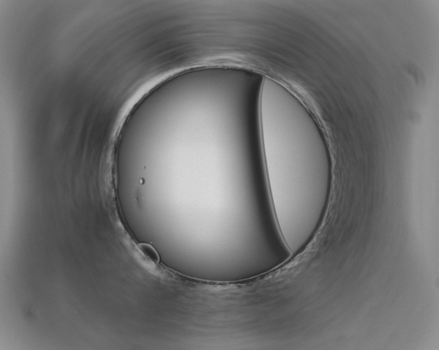 X0000113560816200909181019