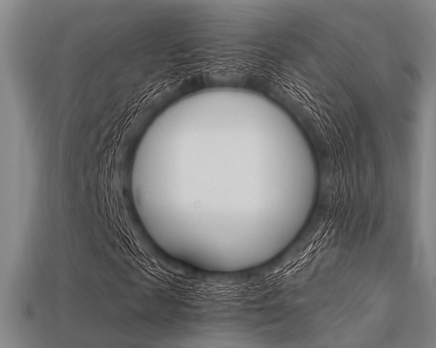 X0000113560817200909181019