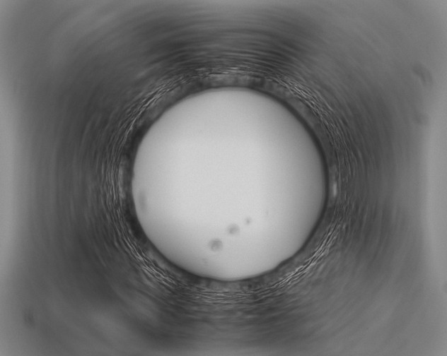 X0000113560819200909181019