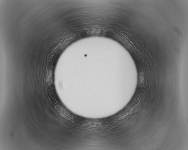 X0000113560820200909181019