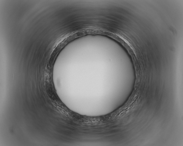 X0000113560823200909181019