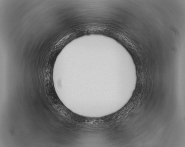X0000113560824200909181019