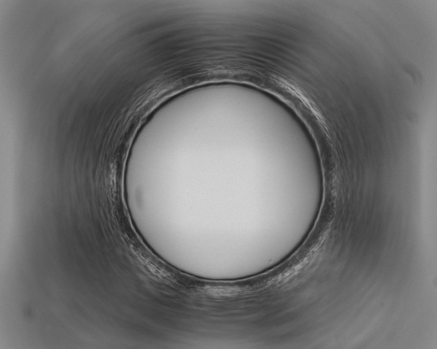 X0000113560825200909181019