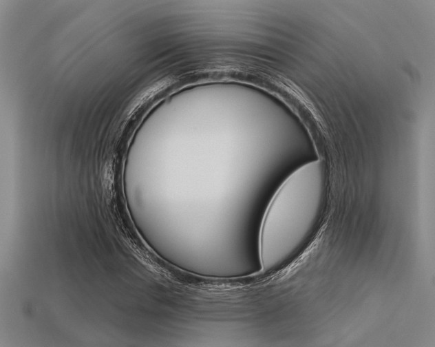 X0000113560826200909181019