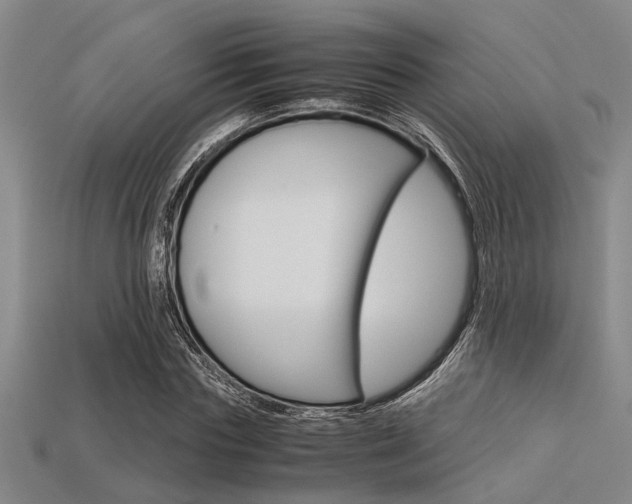 X0000113560827200909181019