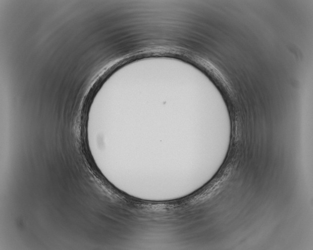 X0000113560828200909181019