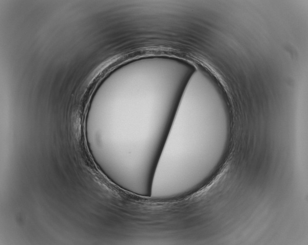 X0000113560829200909181019