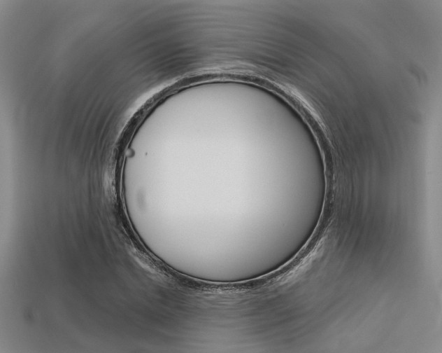 X0000113560830200909181019