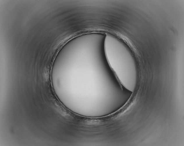 X0000113560833200909181019