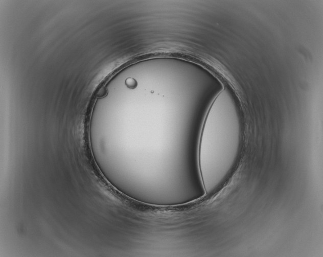 X0000113560834200909181019