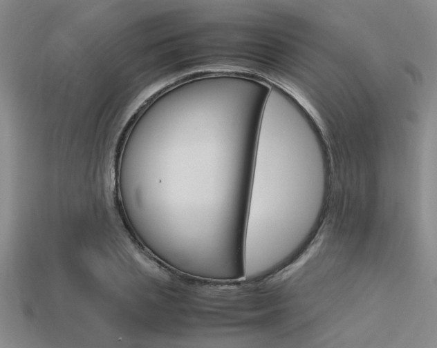 X0000113560837200909181019
