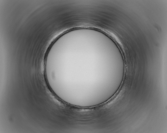 X0000113560839200909181019