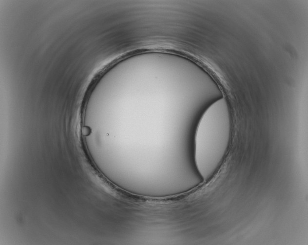 X0000113560840200909181019