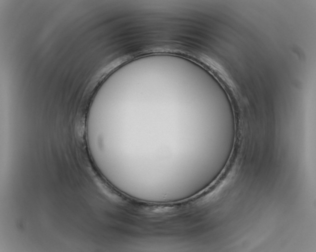 X0000113560841200909181019