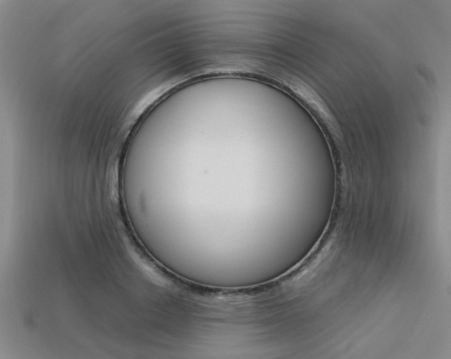 X0000113560842200909181019