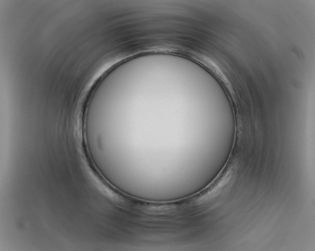 X0000113560843200909181019