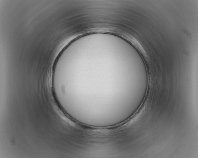X0000113560844200909181019