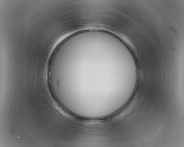 X0000113560846200909181019