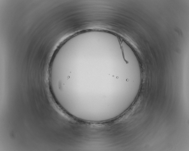 X0000113560848200909181019