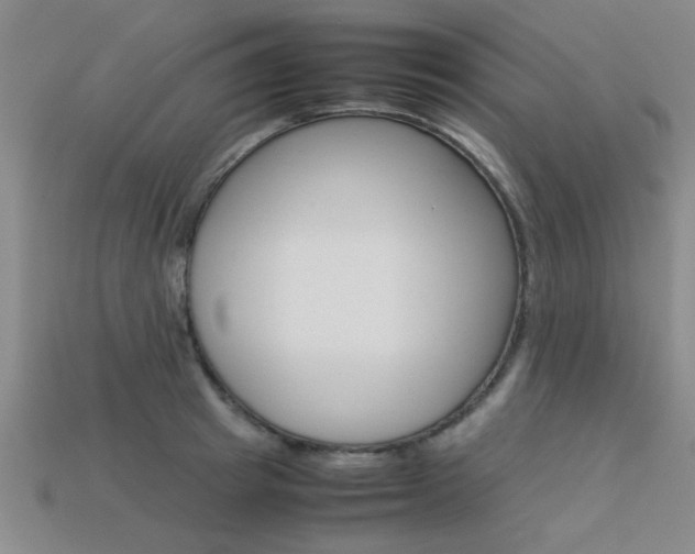 X0000113560849200909181019