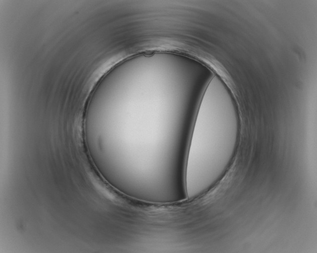 X0000113560850200909181019