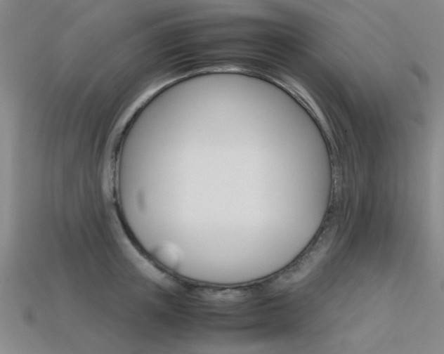 X0000113560851200909181019