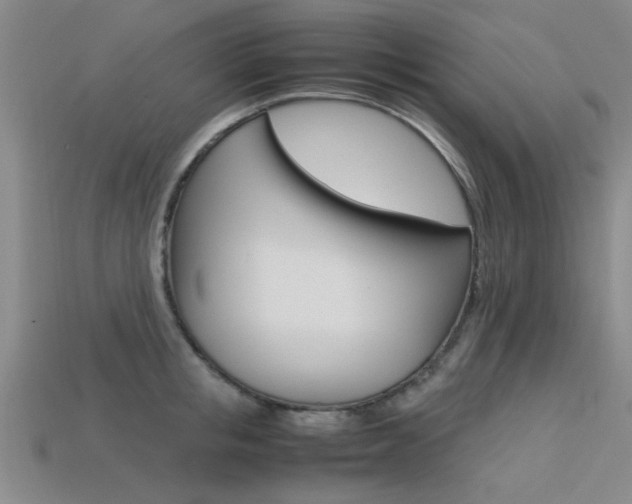 X0000113560853200909181019