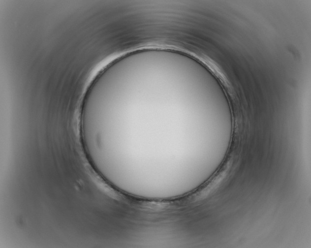X0000113560854200909181019