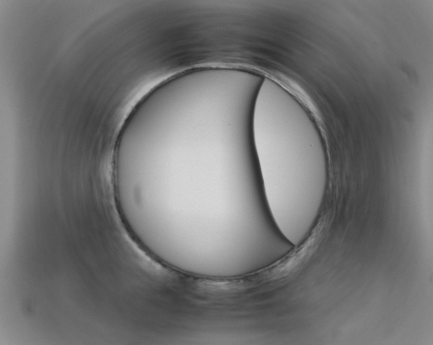 X0000113560855200909181019