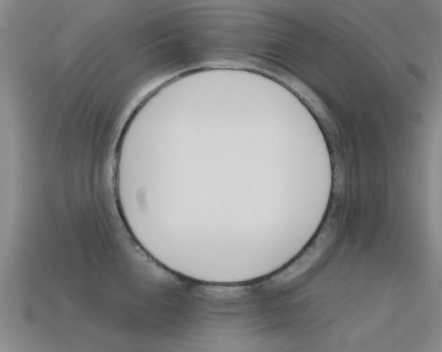X0000113560856200909181019