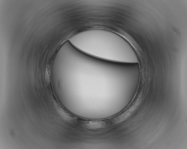 X0000113560857200909181019