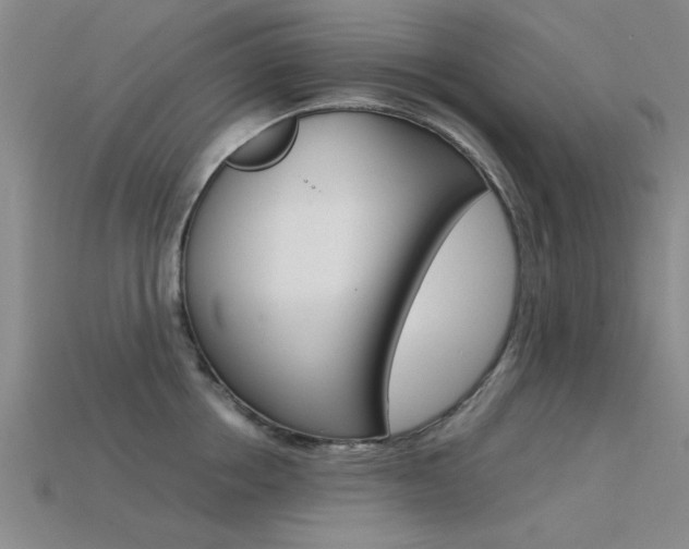 X0000113560858200909181019