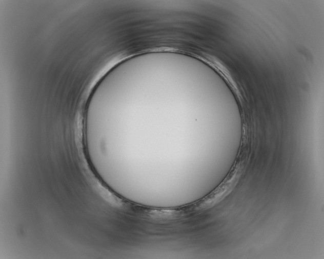 X0000113560859200909181019
