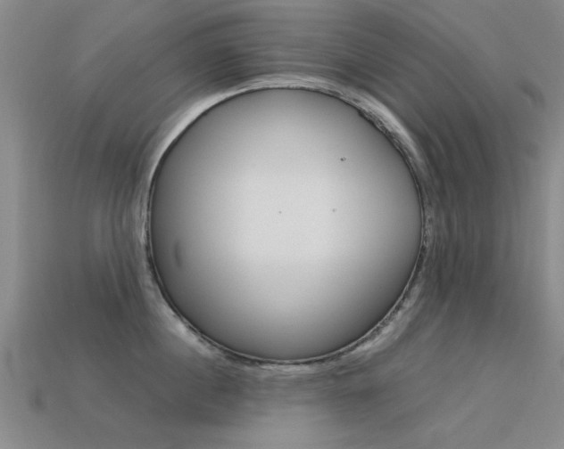 X0000113560860200909181019