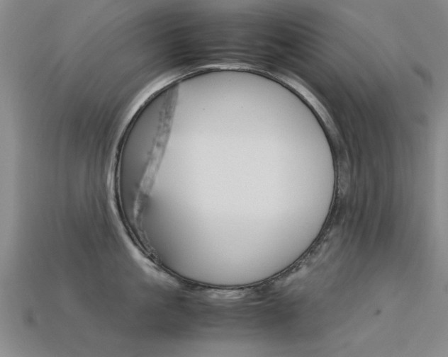 X0000113560861200909181019