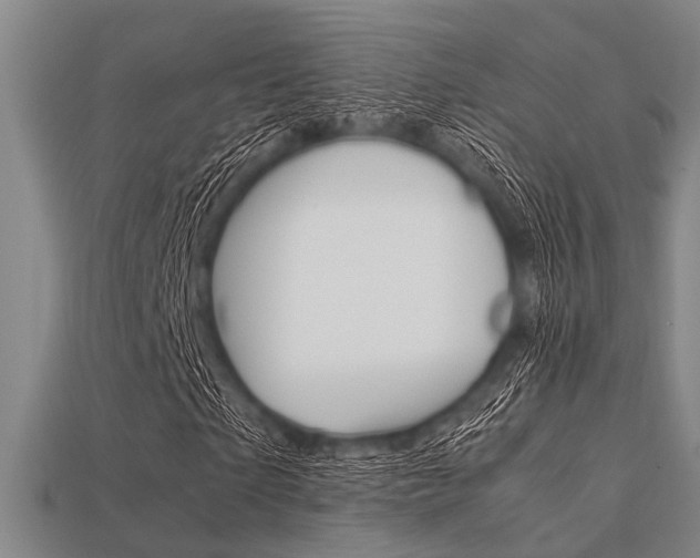 X0000113560865200909181019